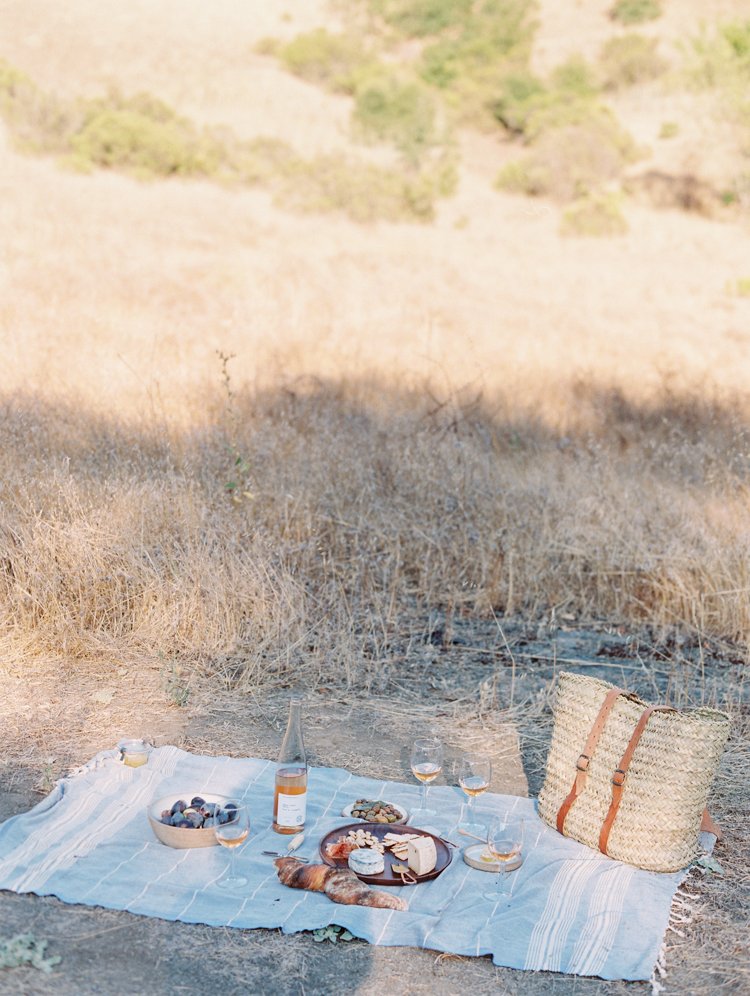 sonoma ca wine tasting picnic | picnic on a vineyard | gaby j photography | sonoma northern california wedding photographer