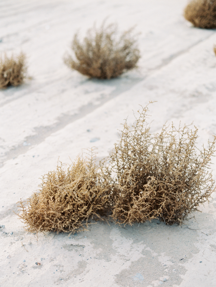 las vegas desert elopement photographers | gaby j photography | desert elopement inspiration