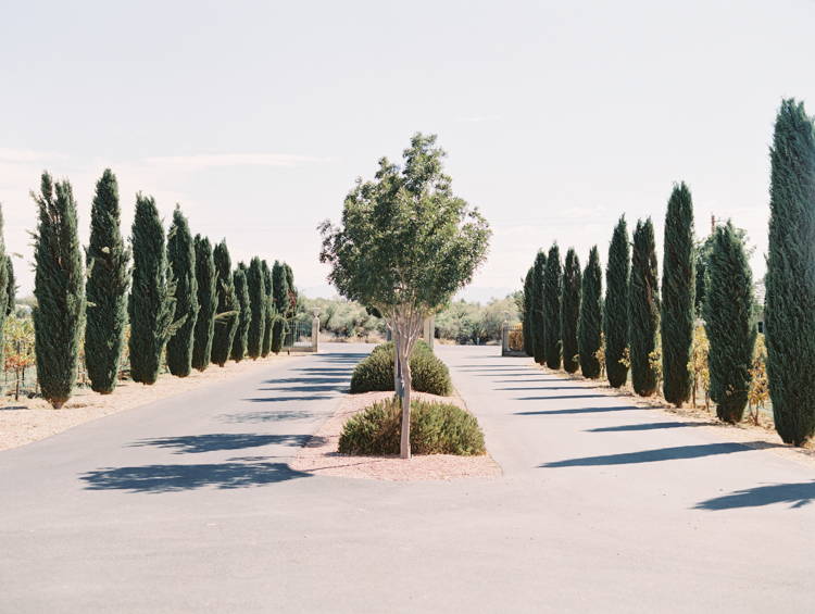 sanders family winery | las vegas wedding venue | Gaby j photography