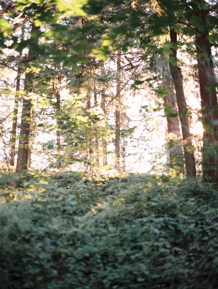 mt tabor portland wedding photographers 