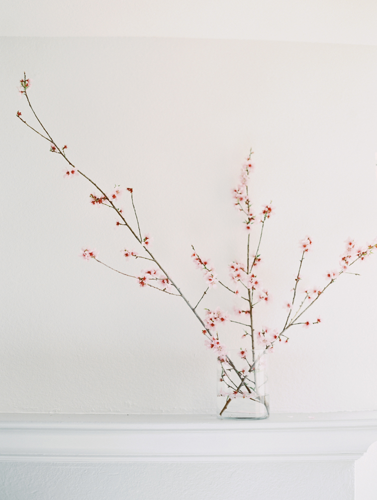 peach tree blossom still life