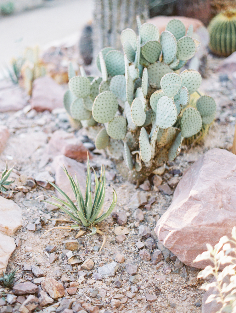 springs preserve las vegas wedding photographers