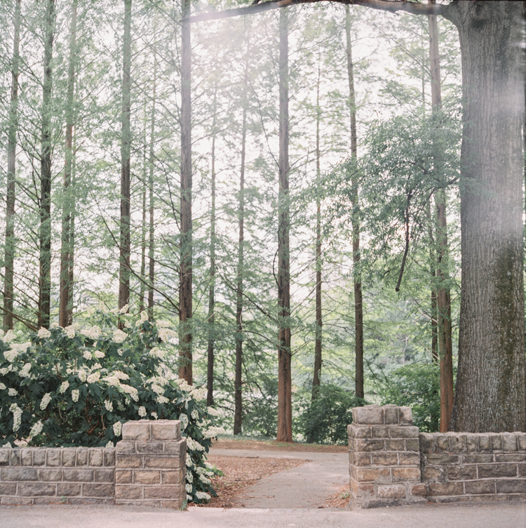 piedmont park elopement georgia photographer 