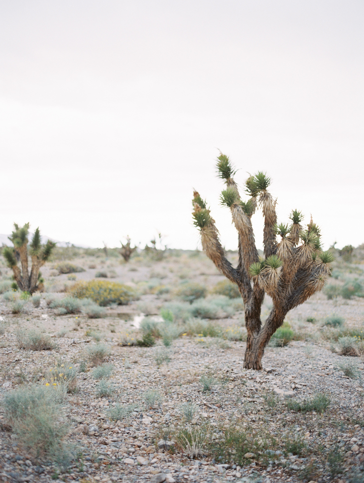 paiute golf las vegas outdoor wedding 