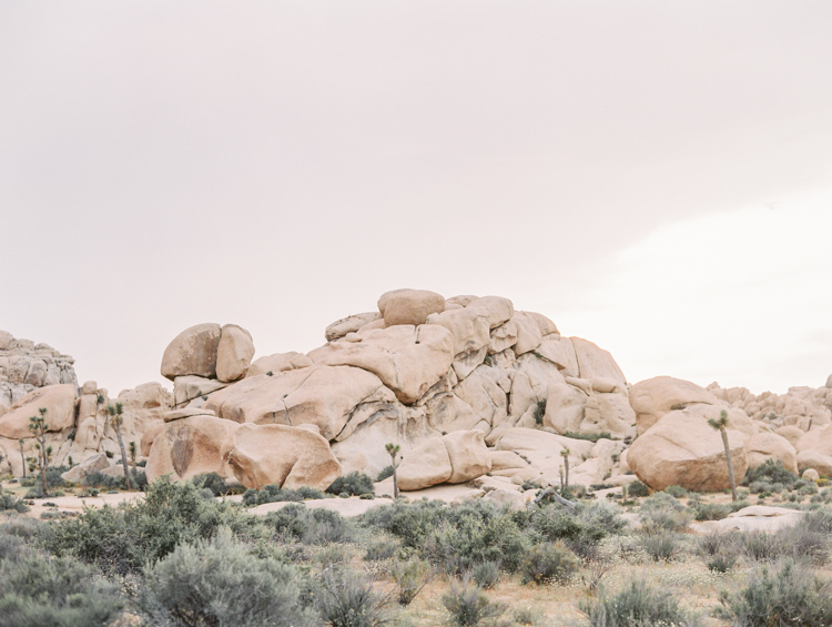 joshua tree national park during sunset