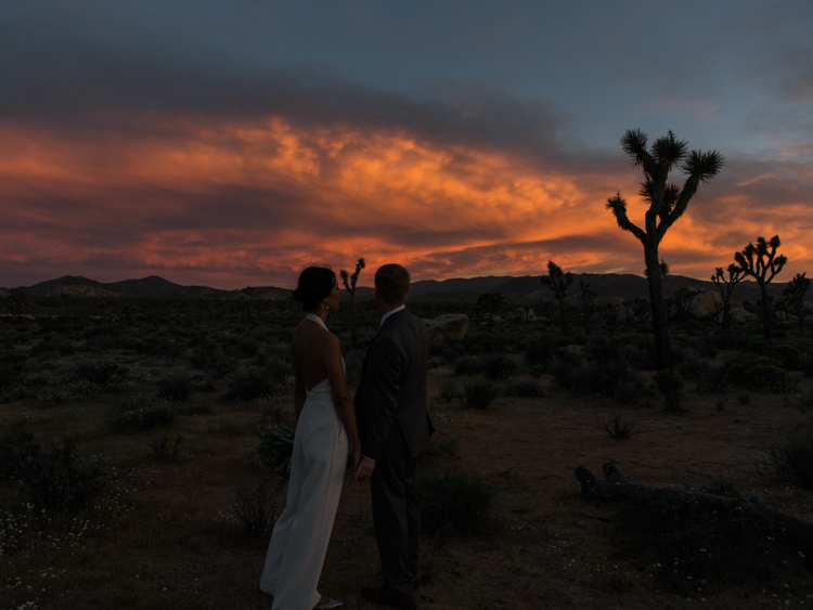 bride and groom sunset joshua tree park photography