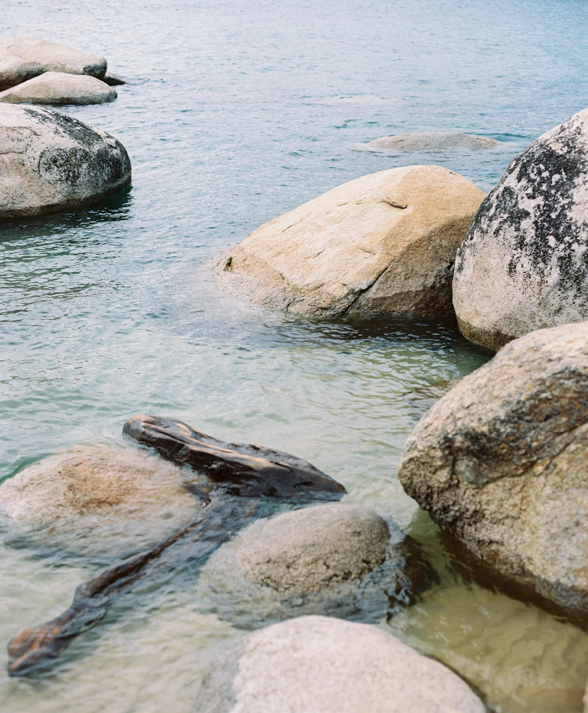 north lake tahoe wedding photographers