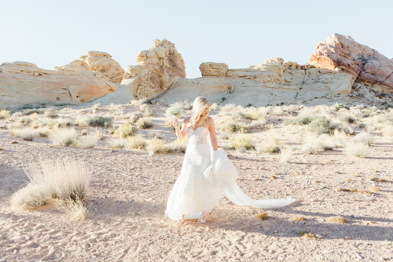 valley of fire gold ridge wedding 