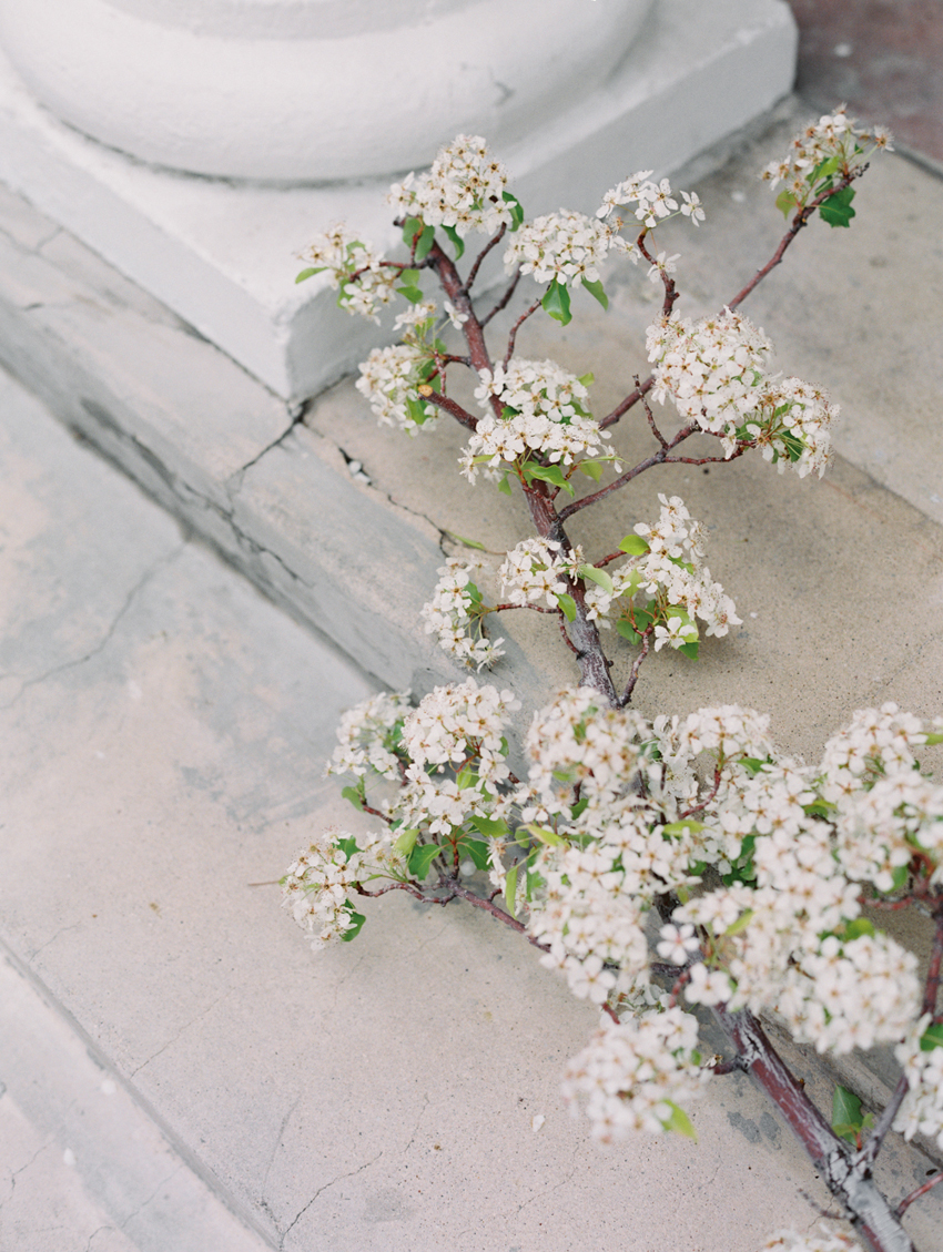 floral inspired spring wedding