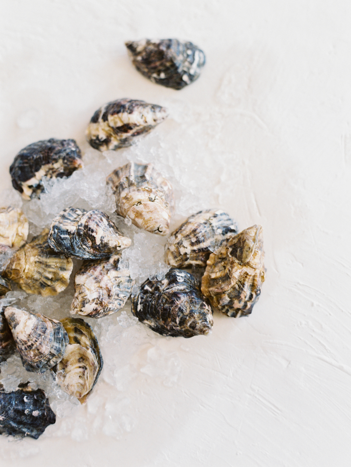 chilled raw oyster bar wedding