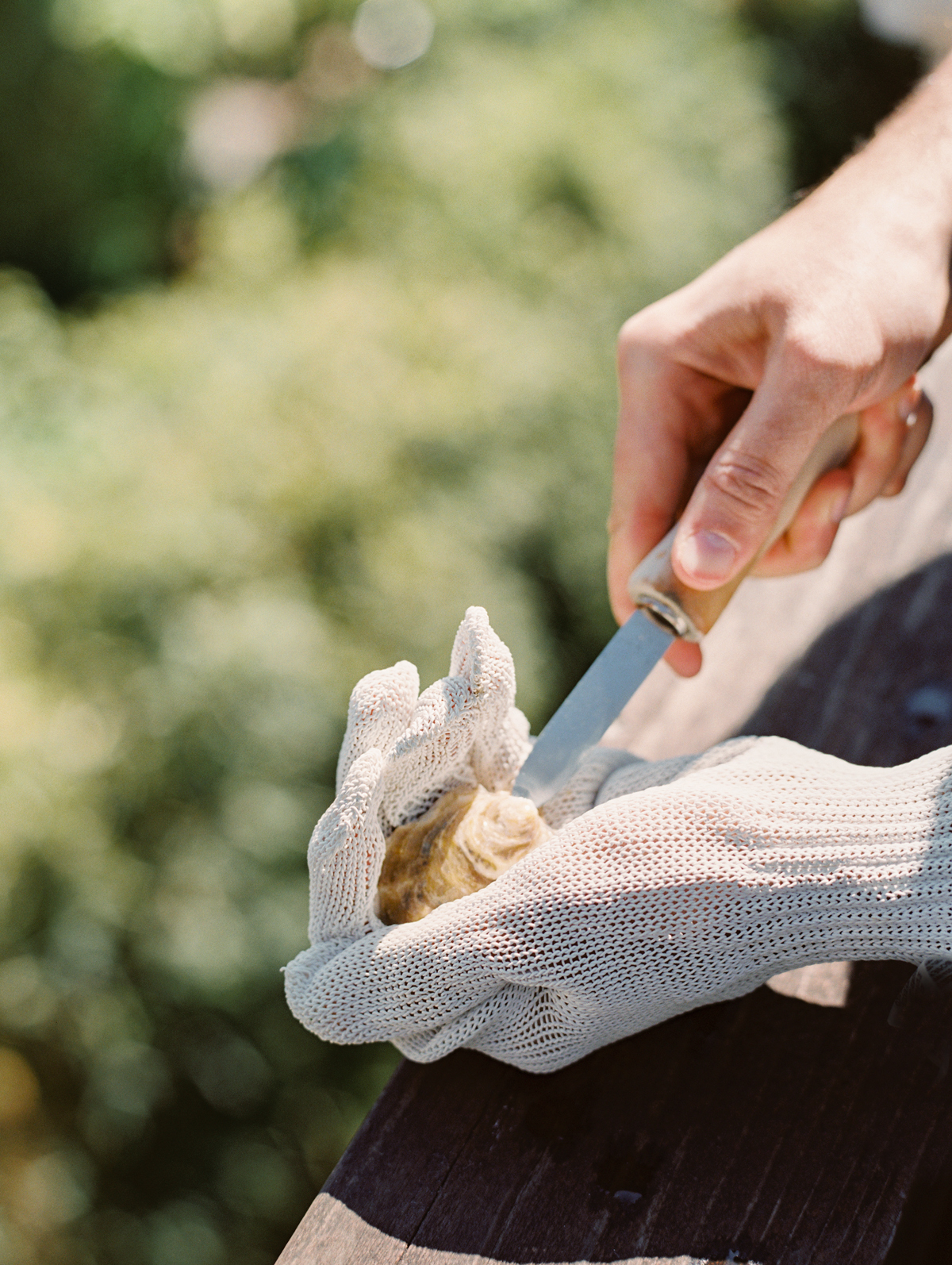 oyster shucker wedding reception sonoma california