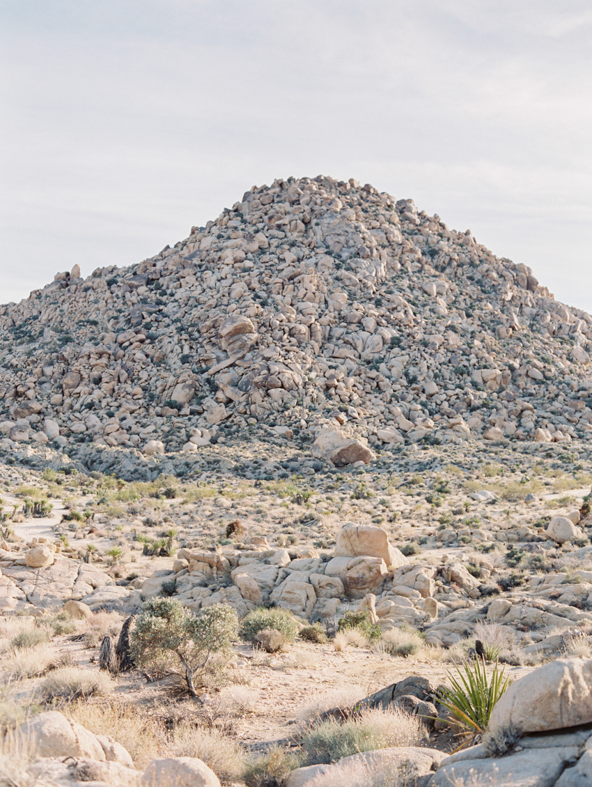 joshua tree national park wedding