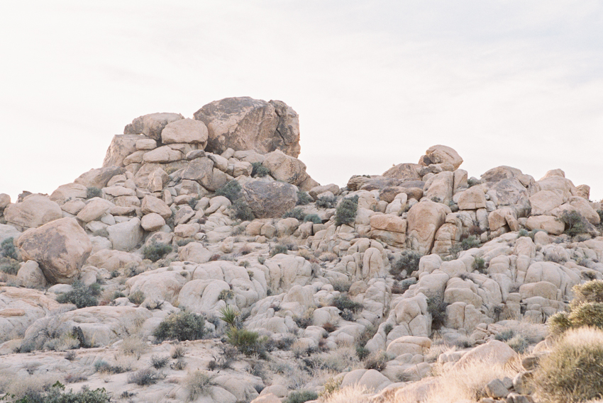 29 palms wedding