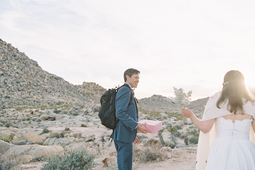 joshua tree national park