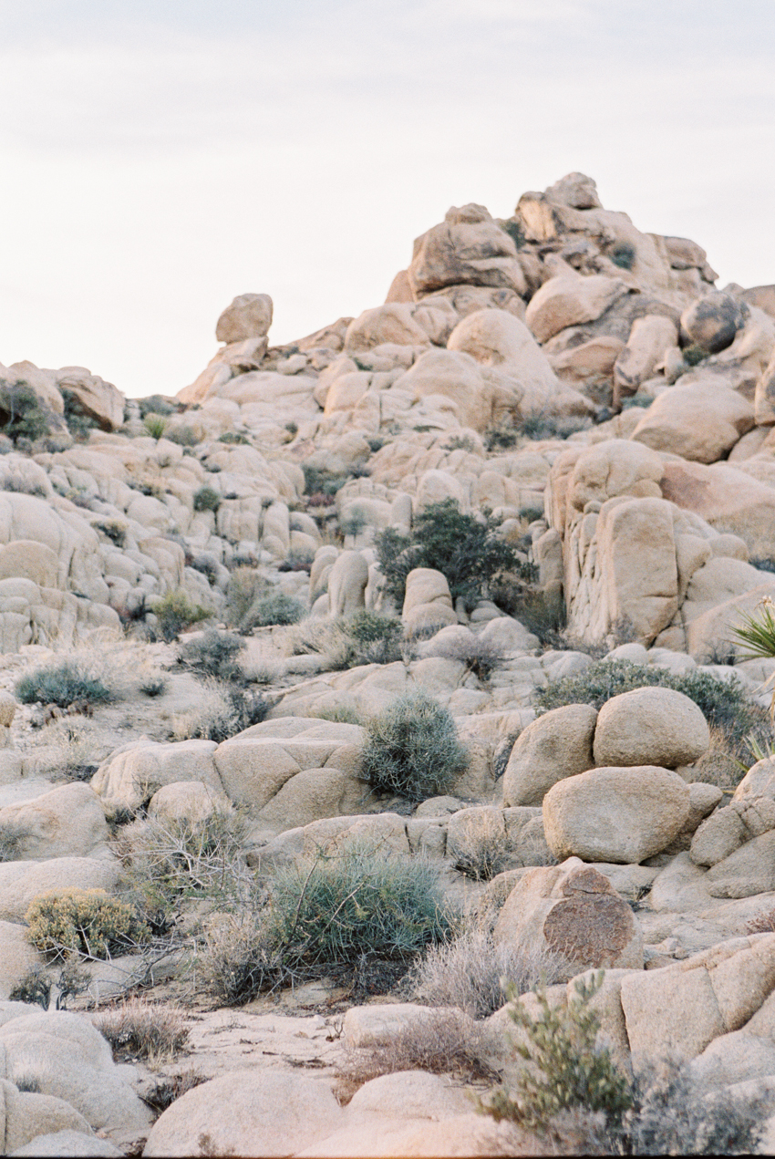 joshua tree national park