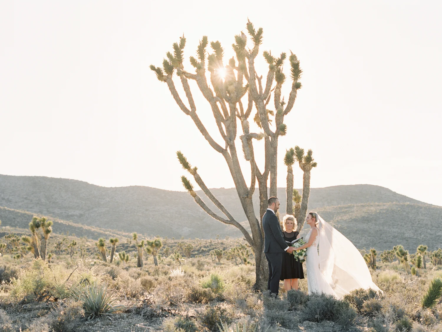 wedding ceremony in the desert