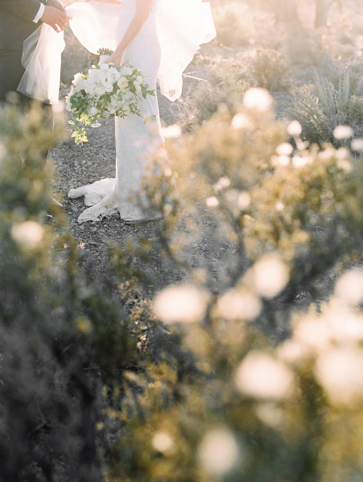 desert weddings bride wearing veil