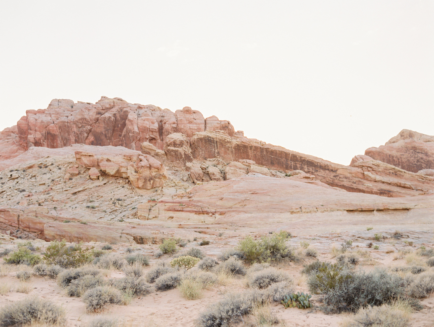 Valley of Fire Elopement — Gaby J Photography