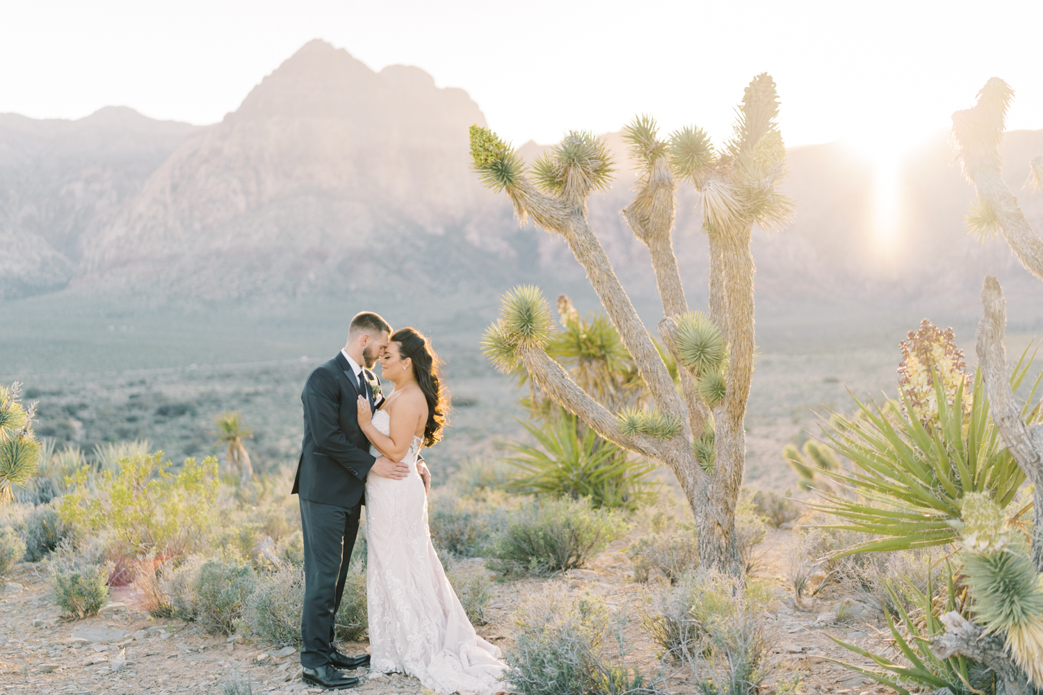 las vegas desert wedding locations