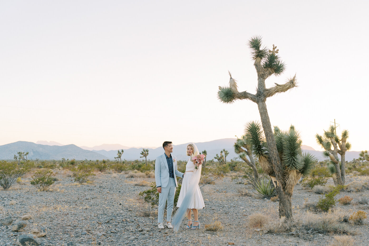 las vegas desert wedding