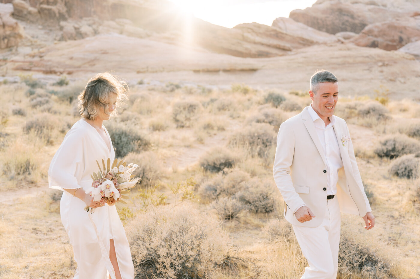 valley of fire micro wedding