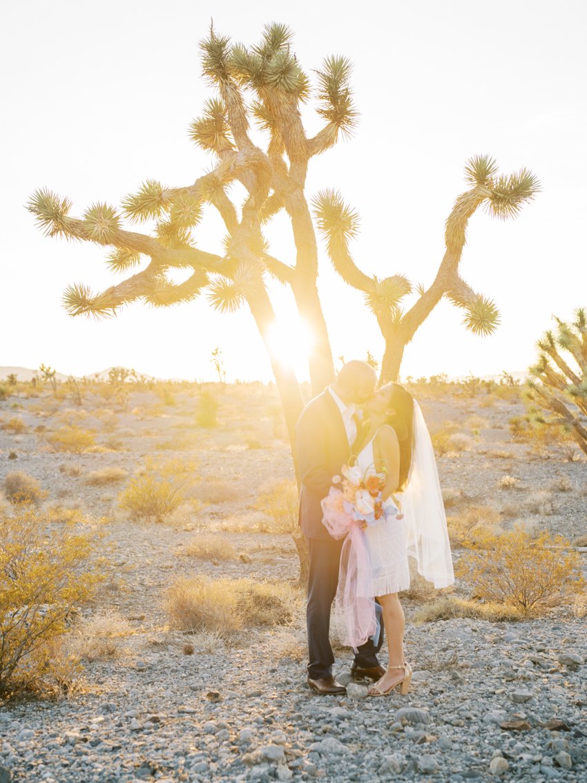 desert sunset wedding vegas