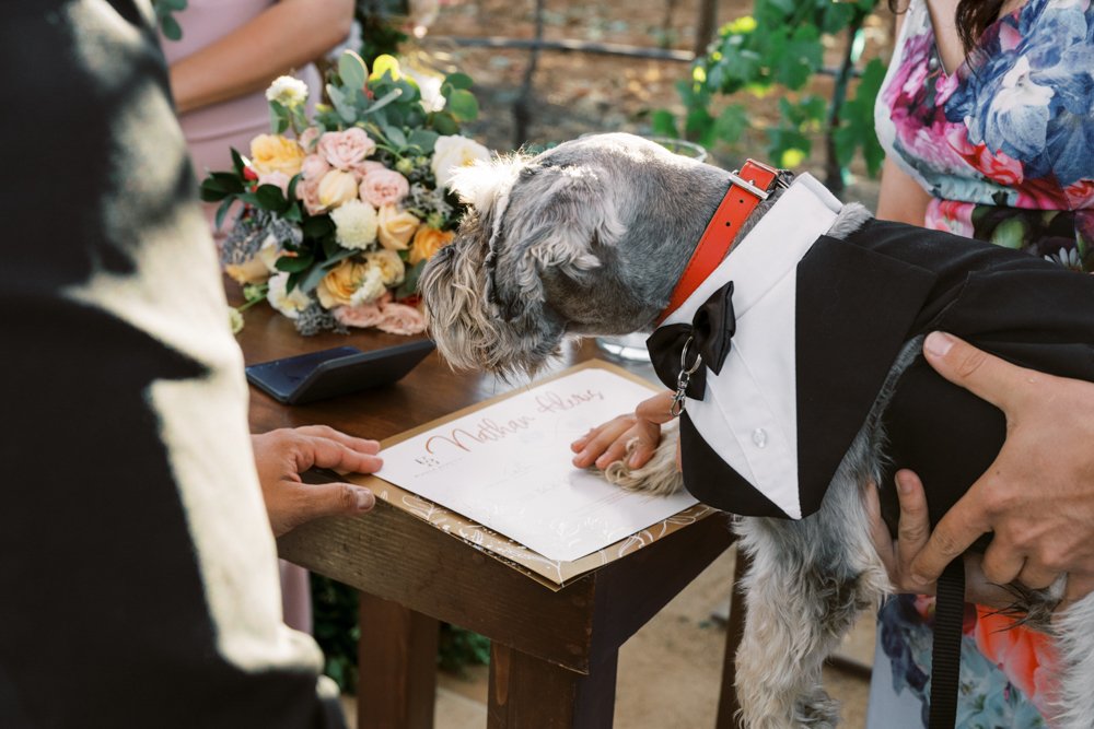 dog signing marriage license