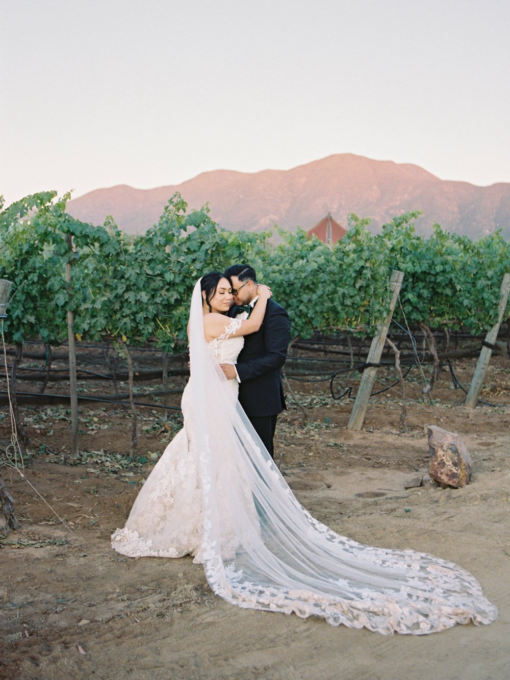 la toscana del valle viñedos boda