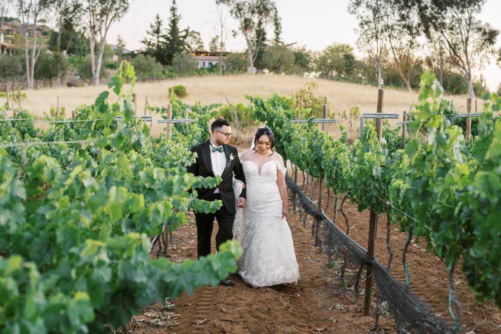 valle de guadalupe wedding photography