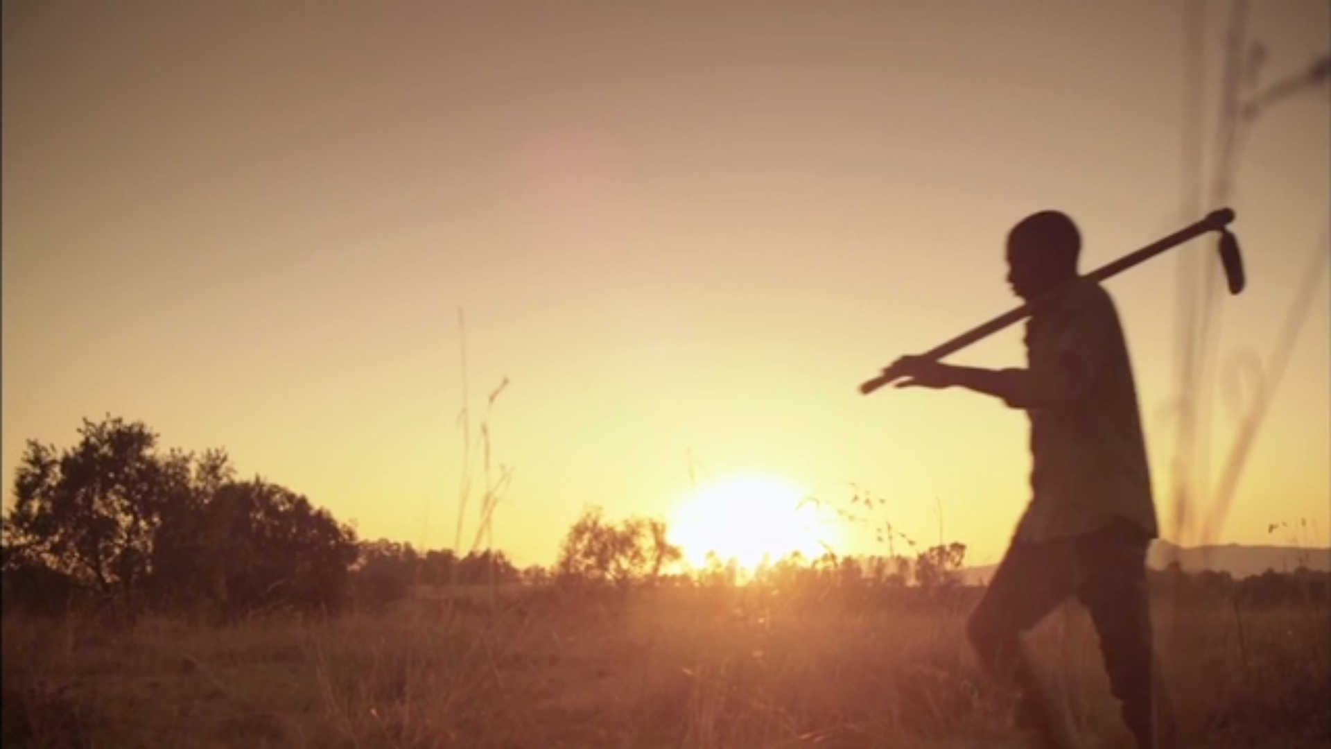 Clinton Foundation - Sabina