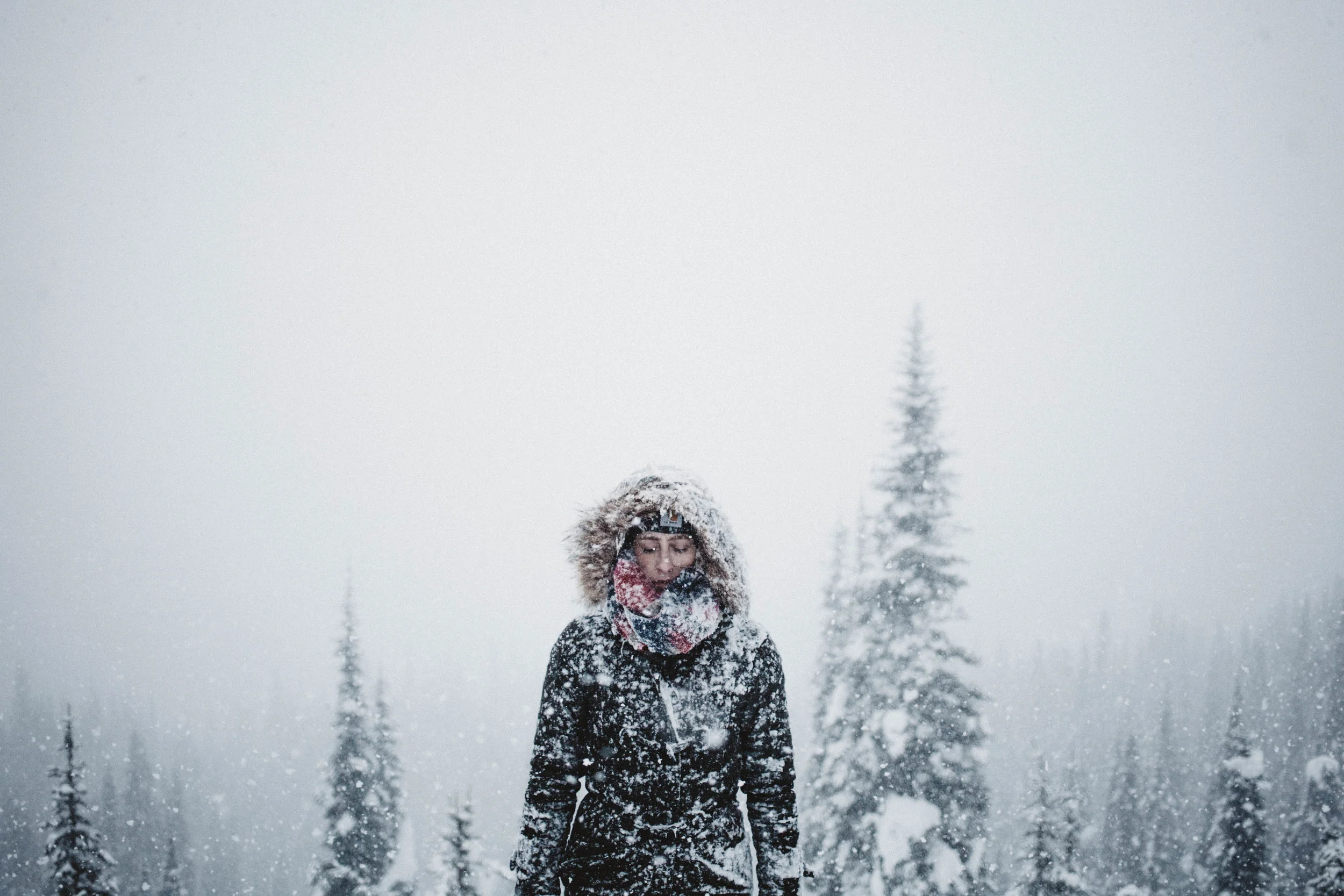 Hurricane Ridge