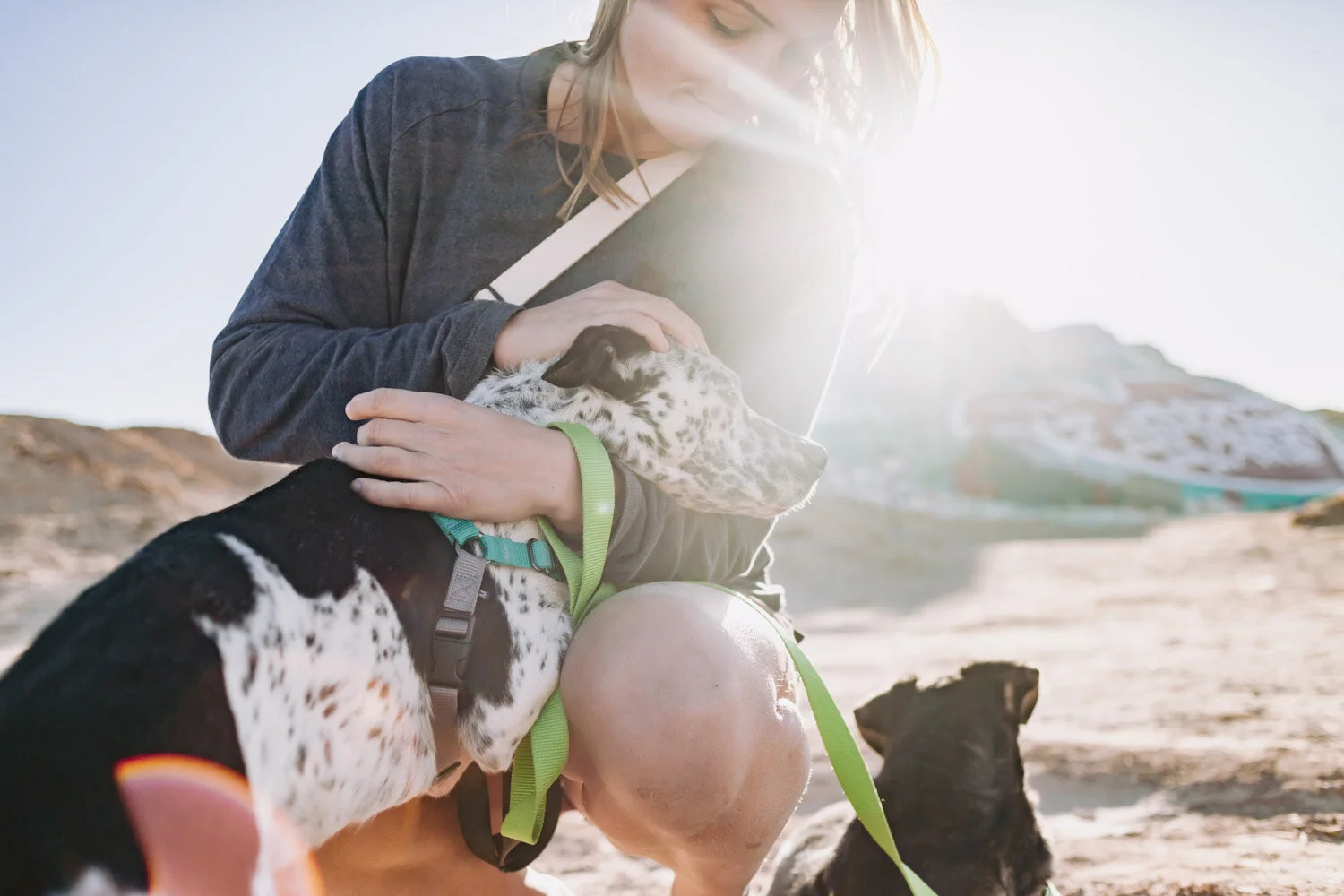 Saving the saddest puppy