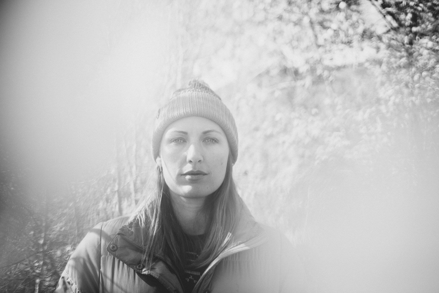 An Aspen Grove X Idaho