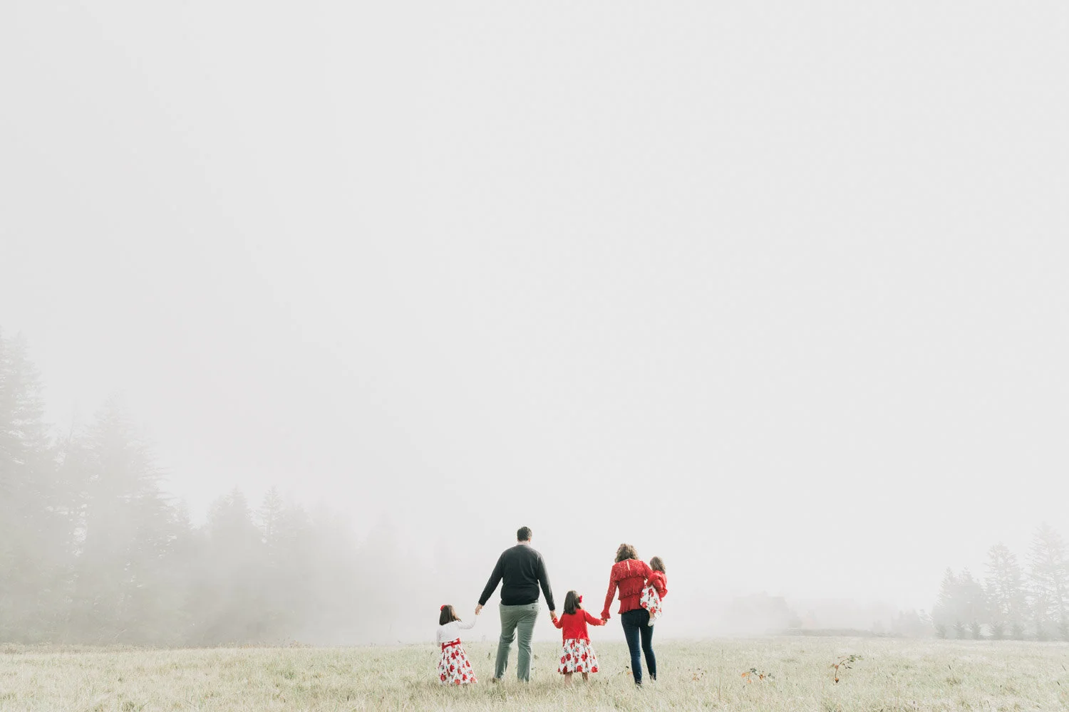 Photos in the fog