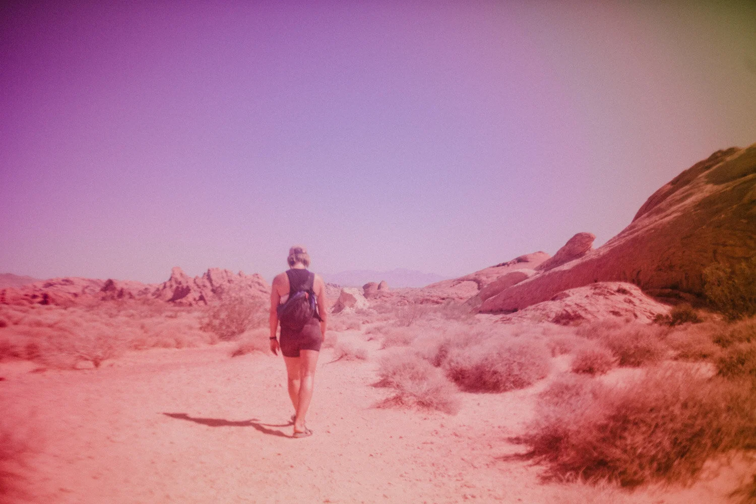 Valley of Fire X Nevada