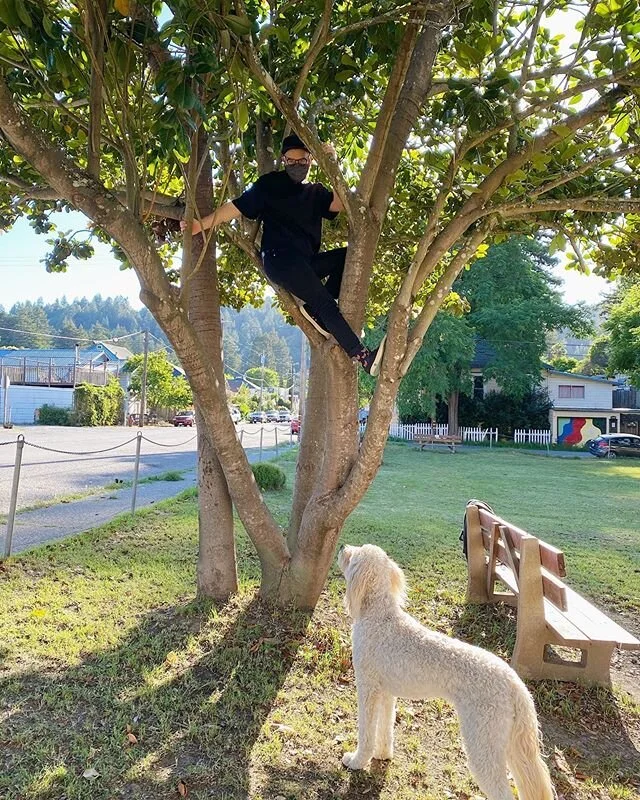 I climbed a tree. Hank made a friend.