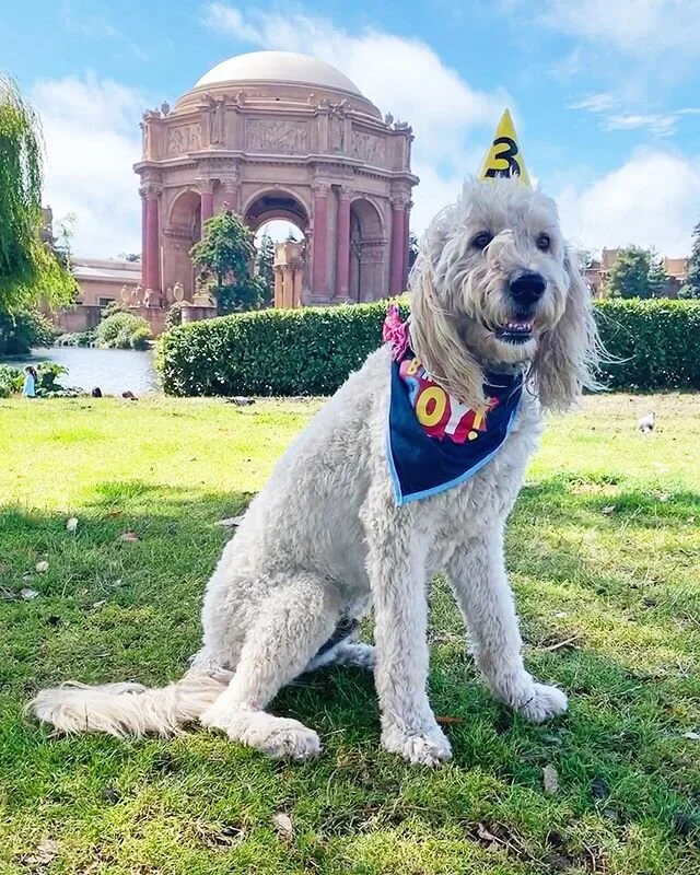 Happy birthday Dood! ❤️
