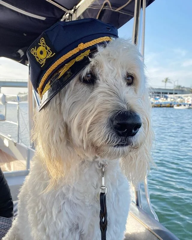 Just got this postcard from Hank while he&rsquo;s yachting in so-cal. Have a good trip Dood!