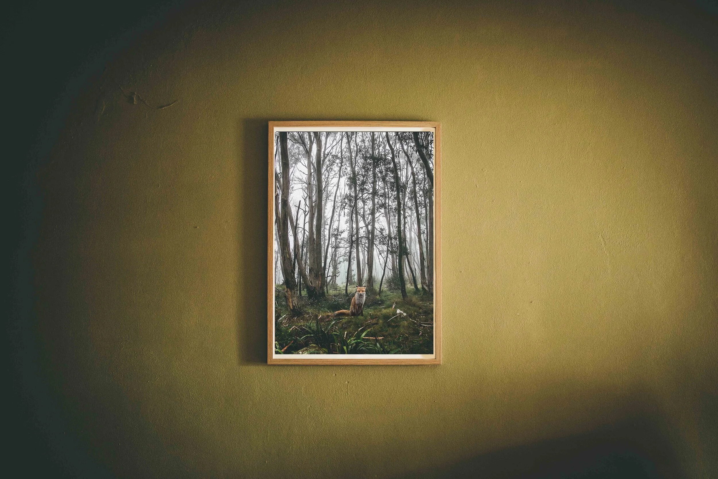 foxy framed.jpg