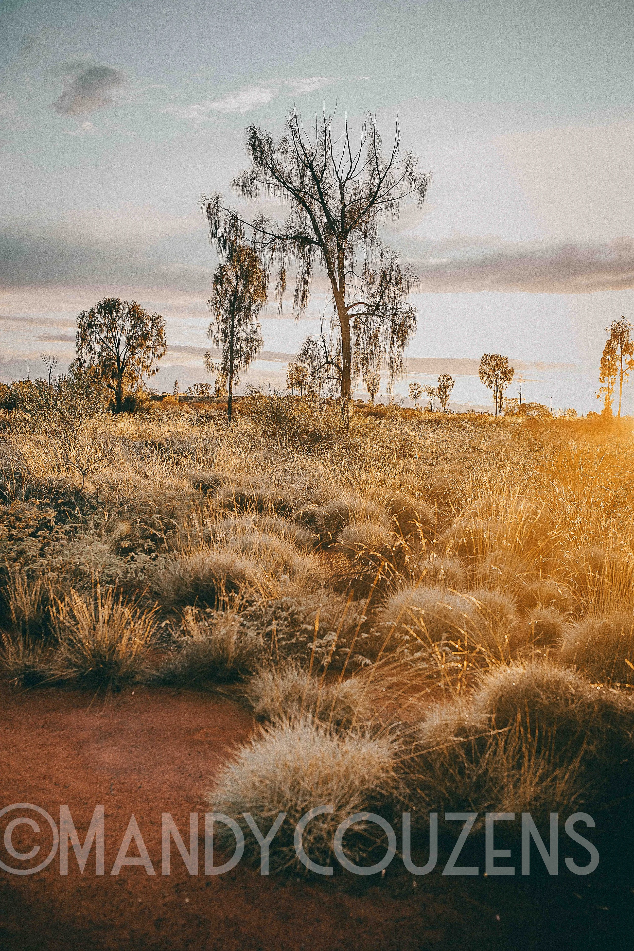 Golden Hour Mandy Couzens copy.jpg