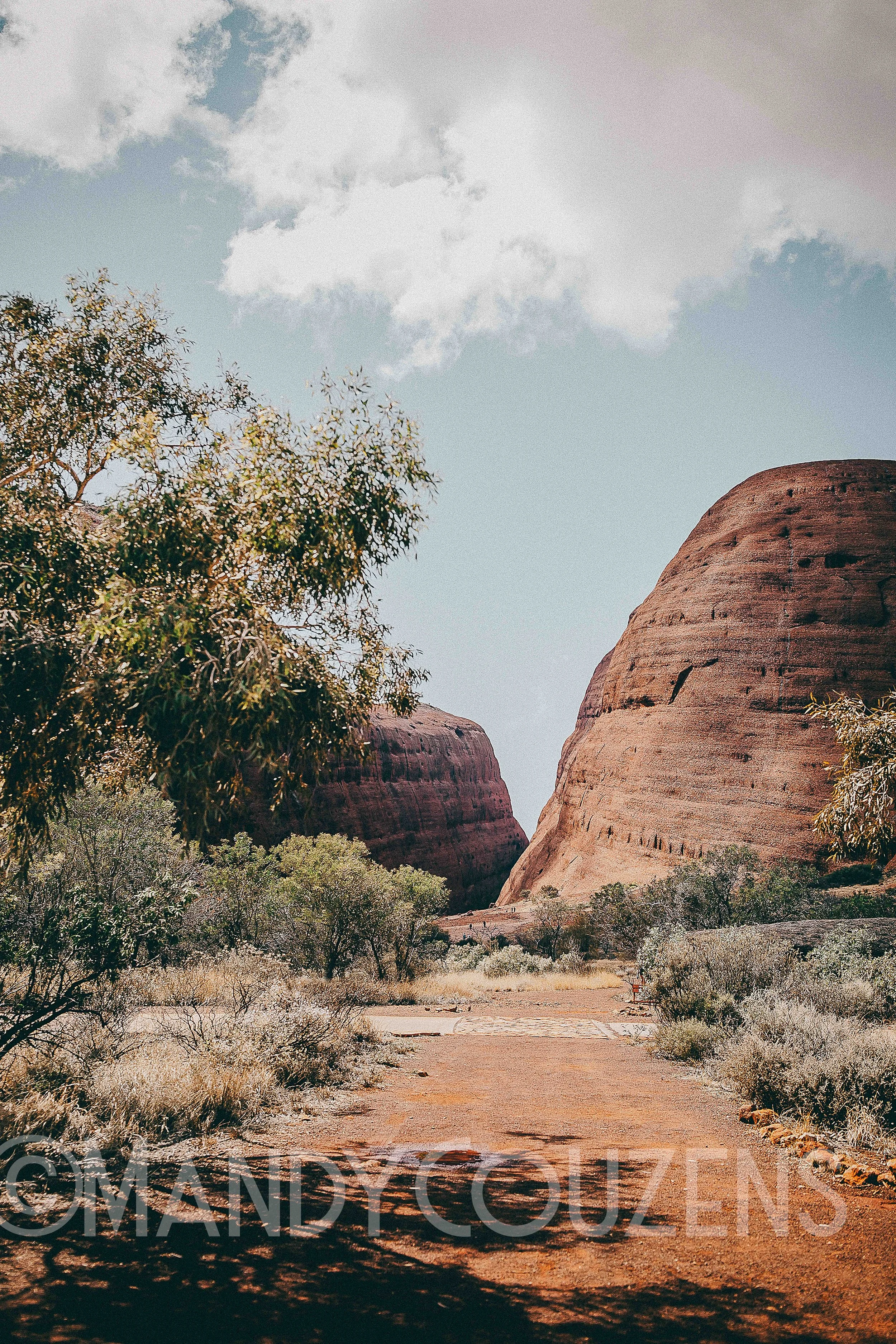 Kata Tjuta Track Mandy Couzens copy.jpg