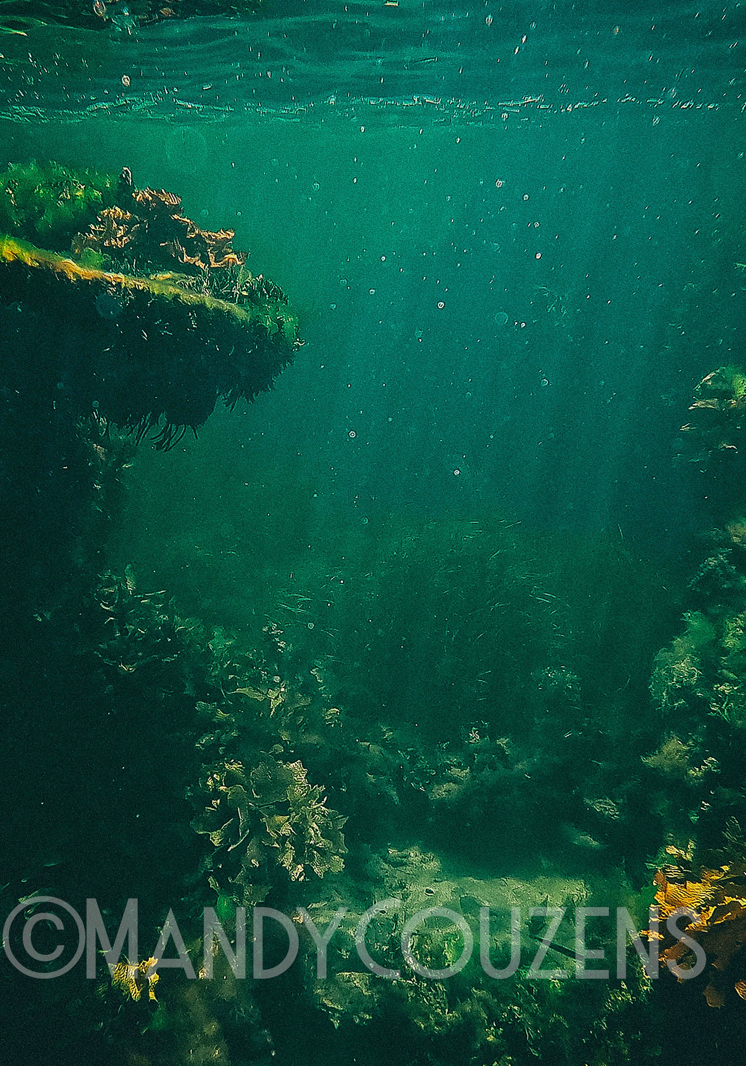 The Ozone Wreck Mandy Couzens copy.jpg