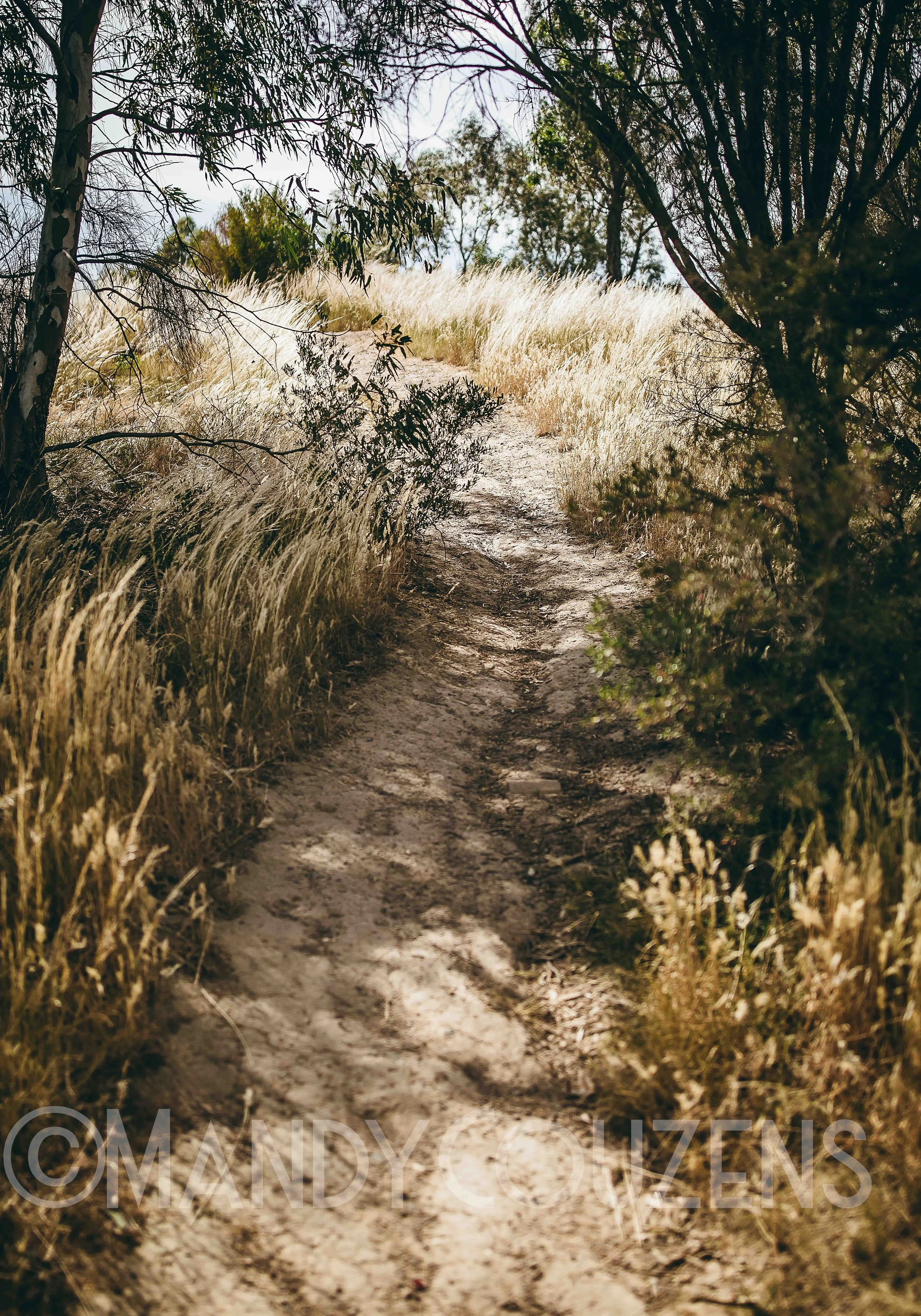Bush Track Mandy Couzens copy.jpg