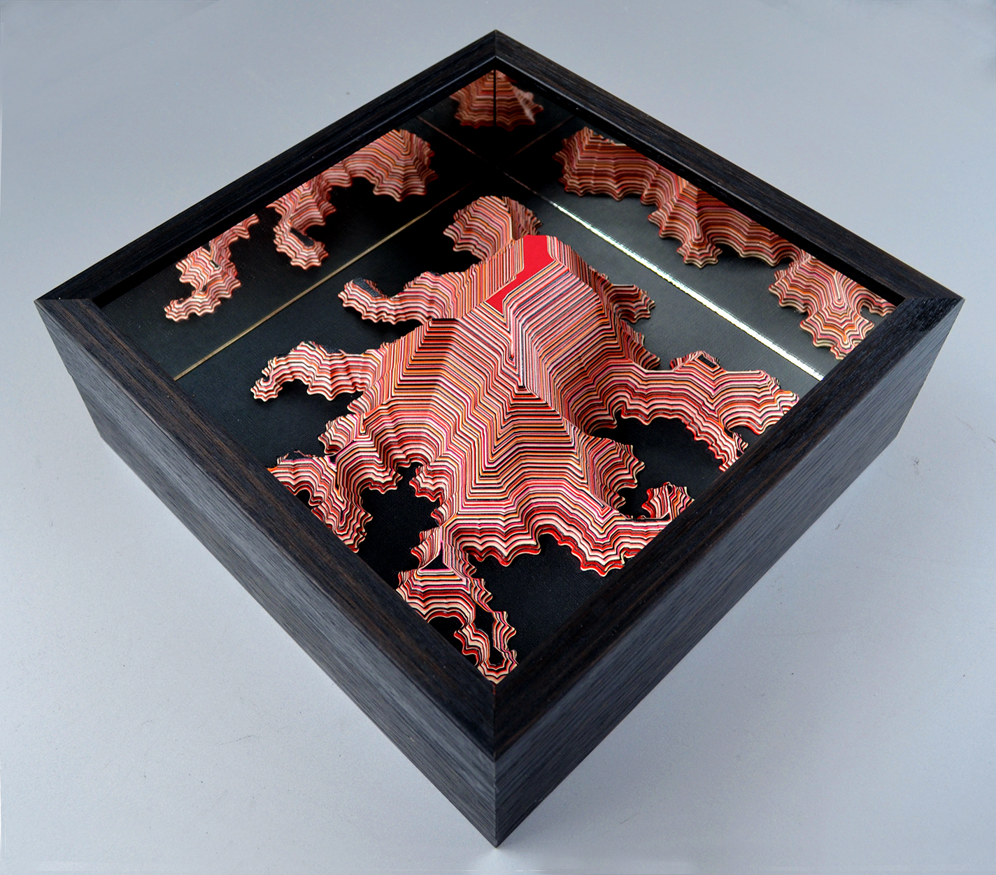 Organic growth(+)_Install shot.jpg