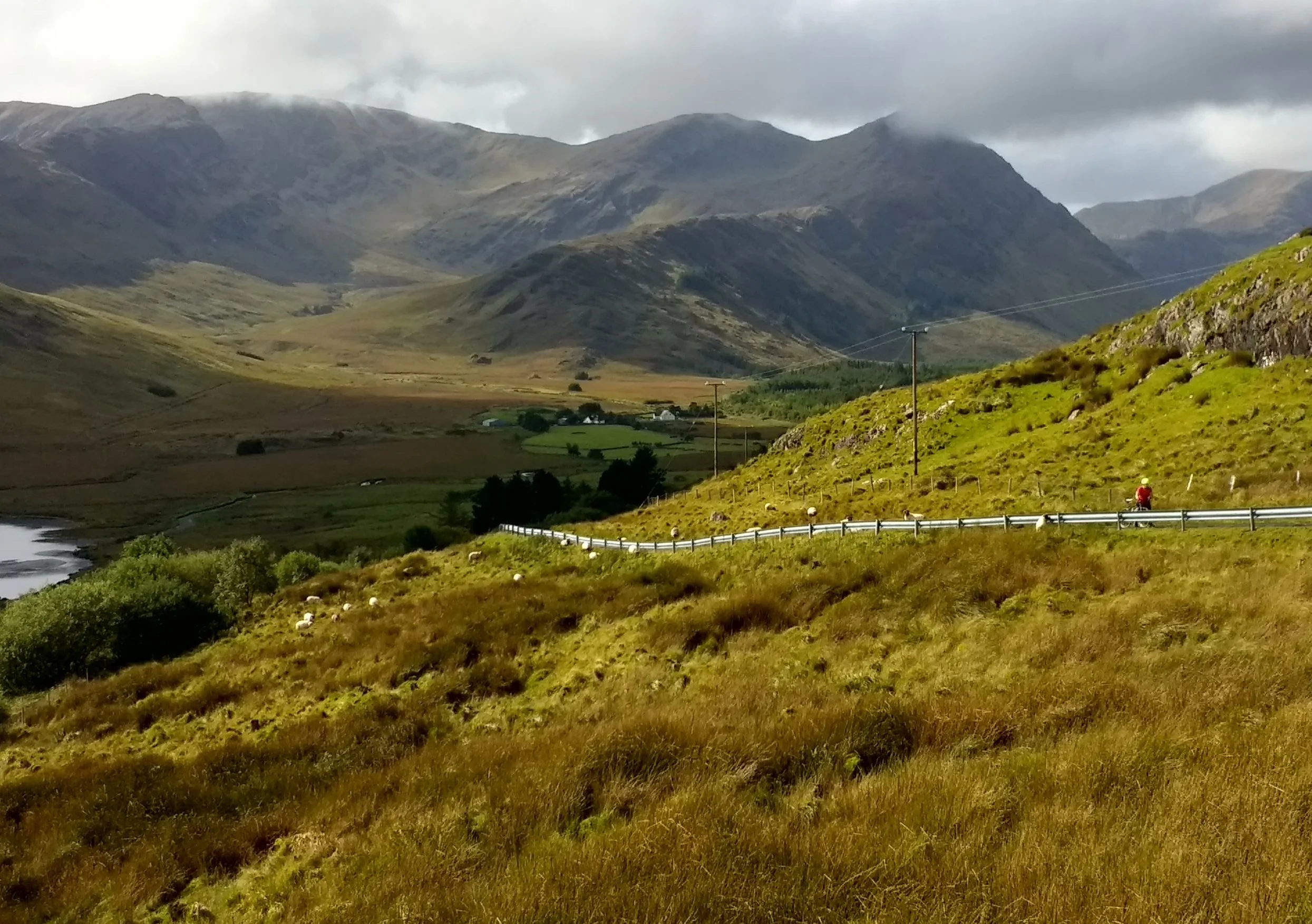 sheepfreyclimb.jpg