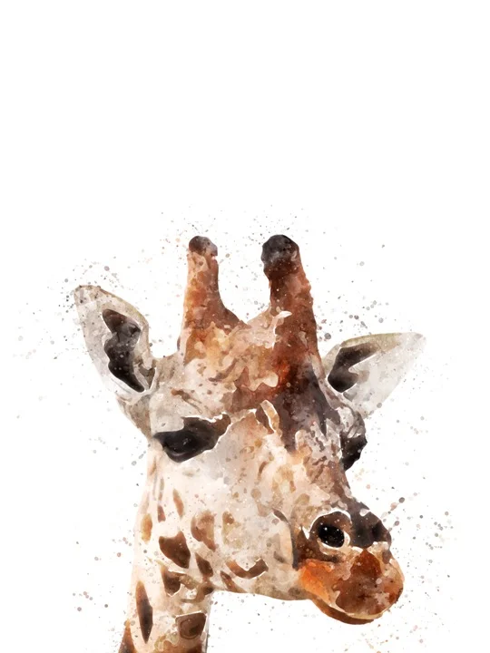 giraffe small.jpg