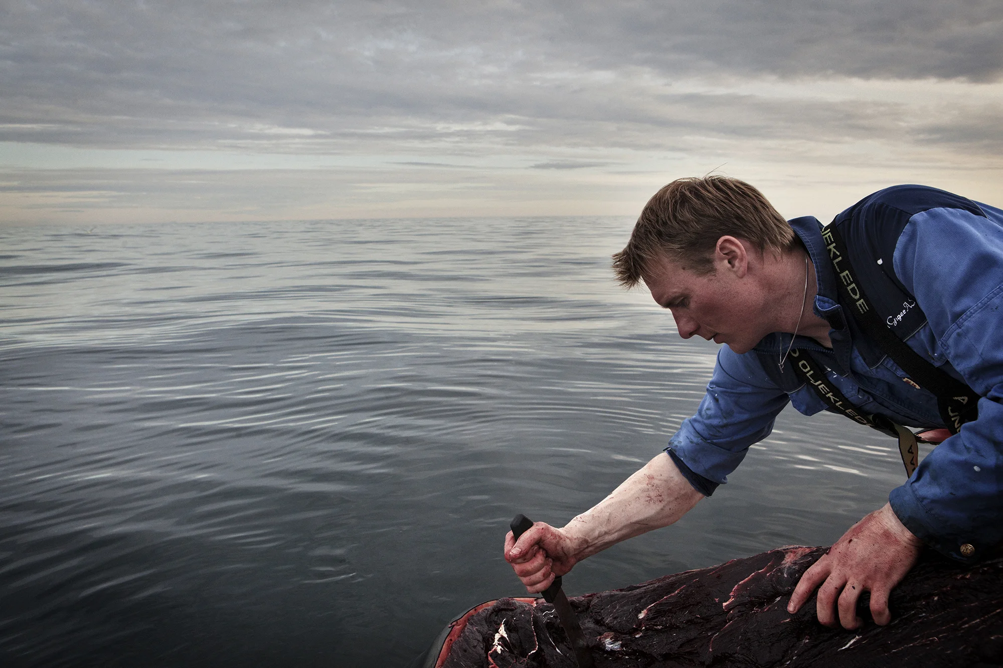 Eilert and Raymond Nilsen on board the boat the Nordfangst. They are hunting whale in the Vestfjorden in Northern Norway. Each year they will catch about 20-30 whale. 