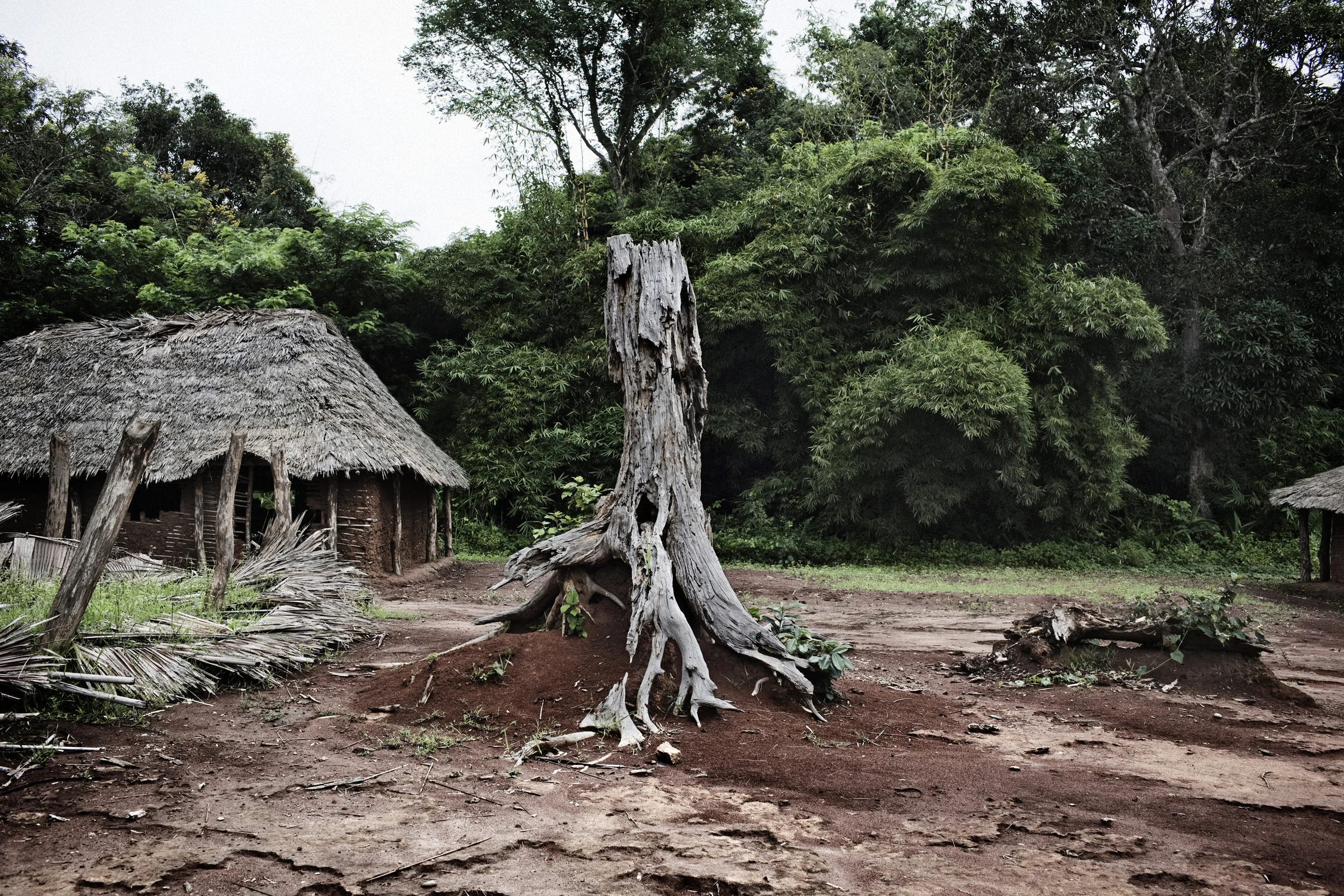  Abandoned homes on the outskirts of Ango, North Eastern Congo. People have fled due to recent activity and abductions and killings by the Lords Resistance Army. 