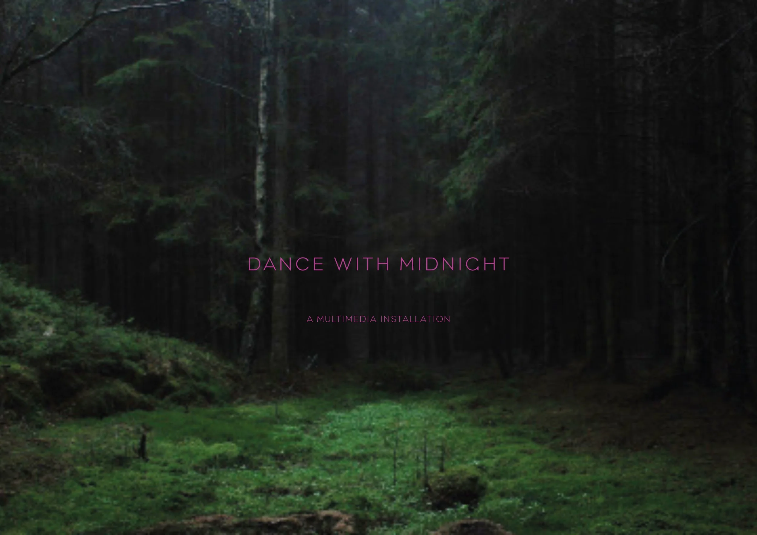 Dance With Midnight_Multimedia Installation.jpg