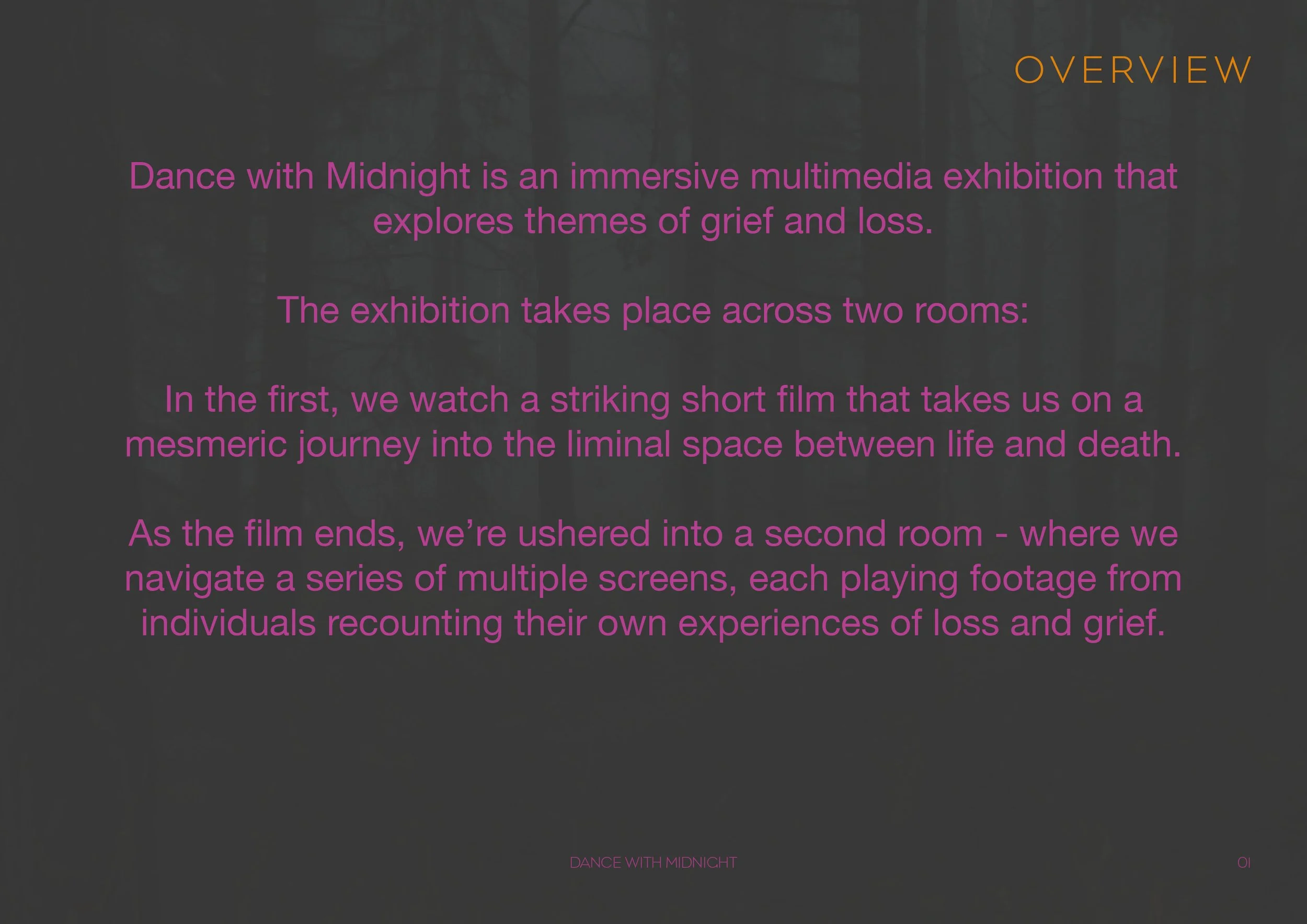 Dance With Midnight_Multimedia Installation_P2.jpg